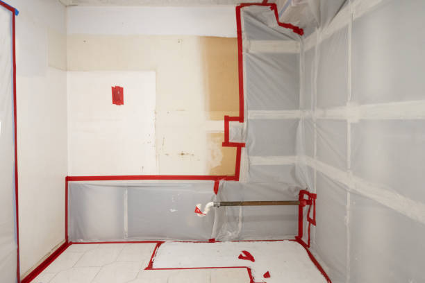 Best Comprehensive Air Testing for Mold Contaminants  in Munster, IN