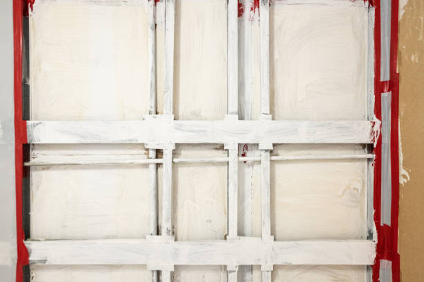  Munster, IN Mold Removal Pros