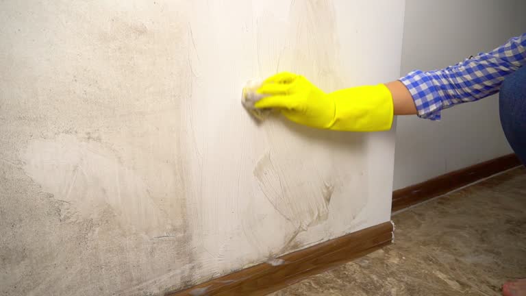Best Residential Mold Inspection & Testing  in Munster, IN