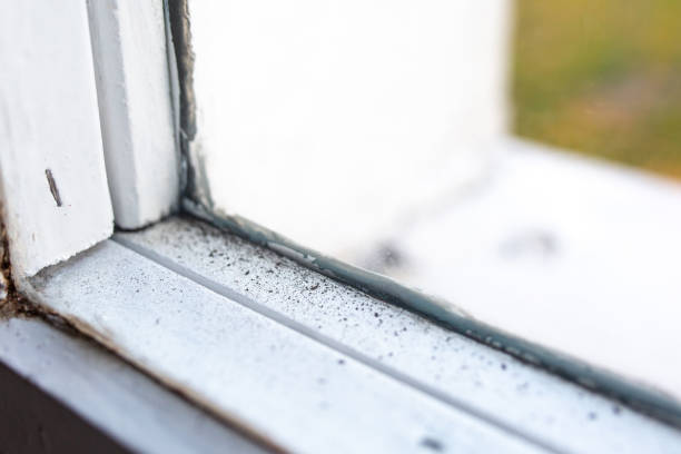 Best Indoor Air Quality Assessment  in Munster, IN