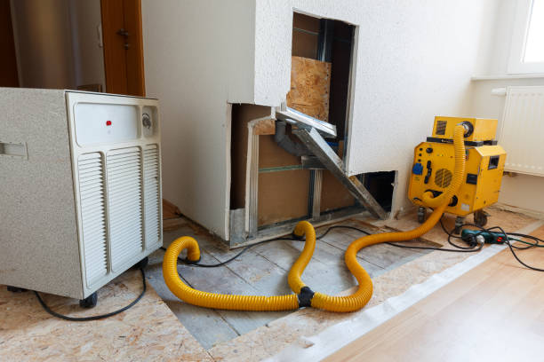 Best Industrial Mold Remediation  in Munster, IN