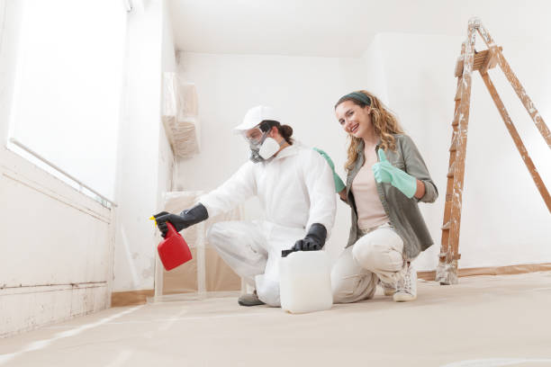 Best Mold Odor Removal Services  in Munster, IN