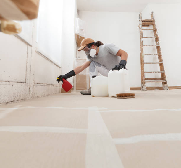 Best Mold Removal for HVAC Installations  in Munster, IN